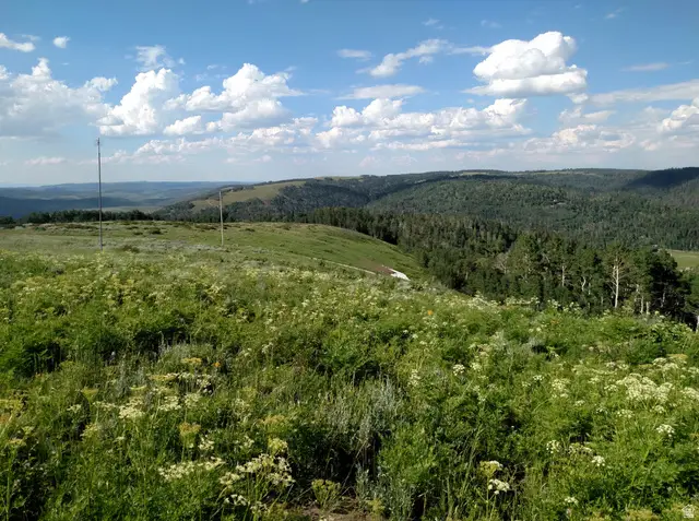 14 E See Directions #14 E, Fairview, UT 84629 - #1