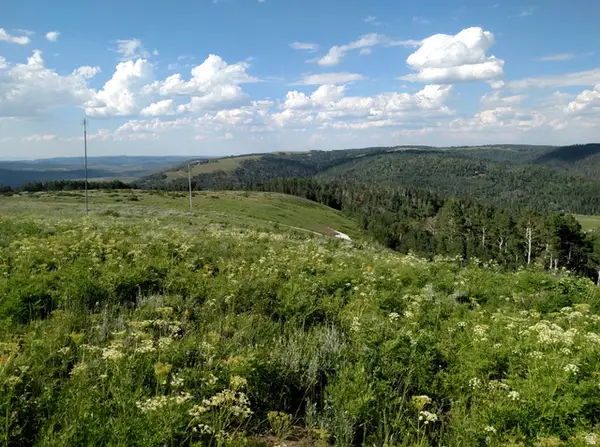 14 E See Directions #14 E, Fairview, UT 84629