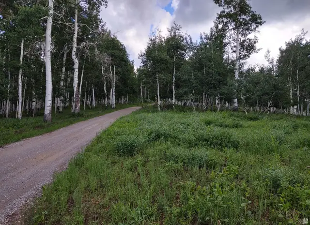 14 E See Directions #14 E, Fairview, UT 84629 - #2