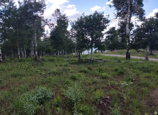 14 E See Directions #14 E, Fairview, UT 84629 - #3