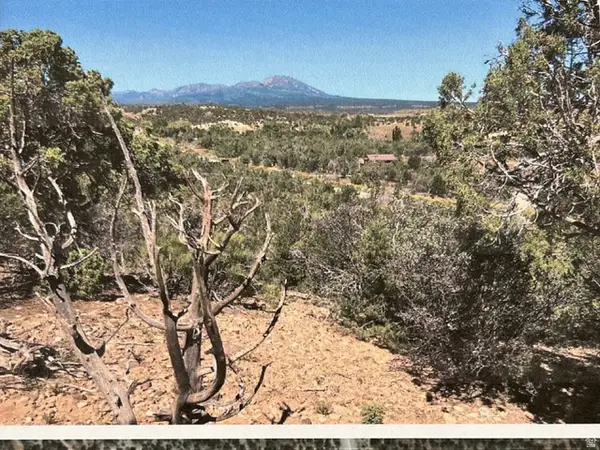 2623 N Reservoir Rd, Blanding, UT 84511