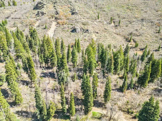 20 Success Trl #20, Midway, UT 84049 - #3