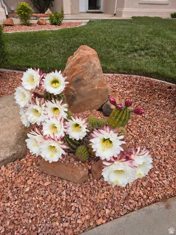 2654 W 320 N, Hurricane, UT 84737 - #3