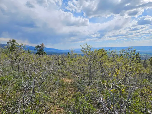 1246 E North Fork Rd S #1246, Fairview, UT 84629 - #1