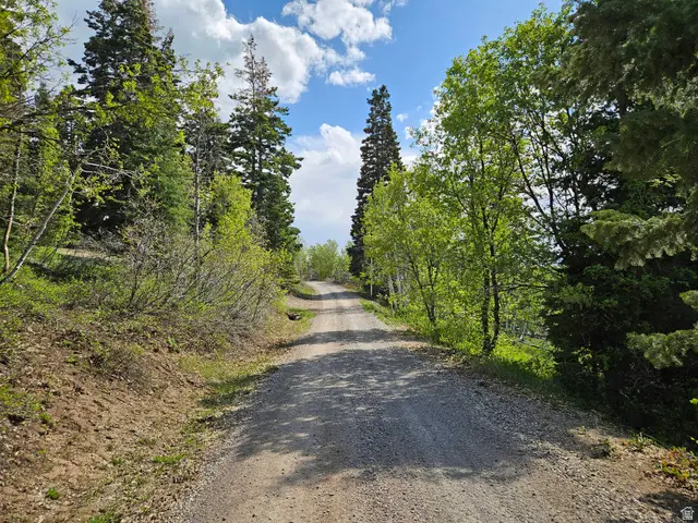 1246 E North Fork Rd S #1246, Fairview, UT 84629 - #2