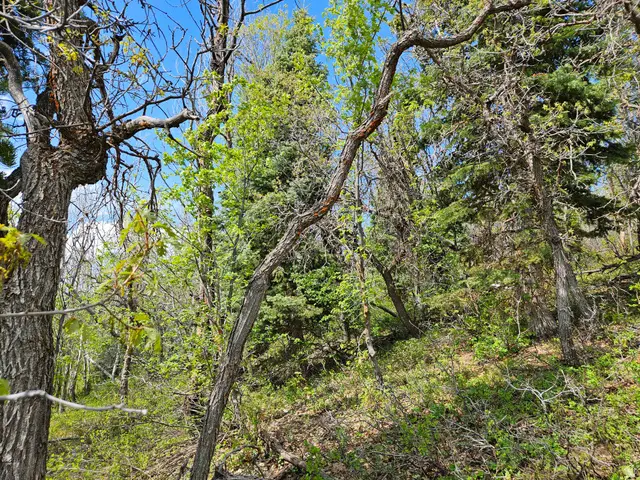 1246 E North Fork Rd S #1246, Fairview, UT 84629 - #3