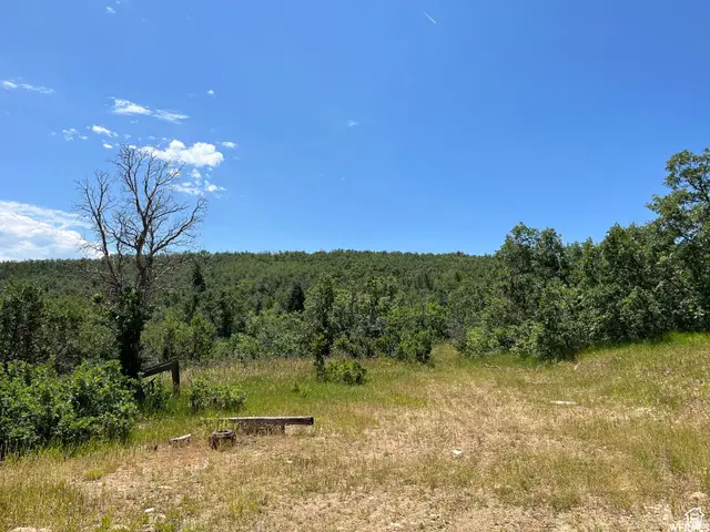 #41, Springville, UT 84663 - #1