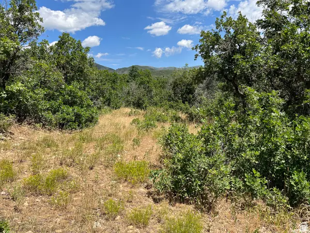 #41, Springville, UT 84663 - #3