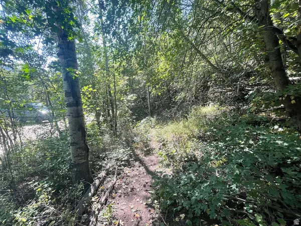 10337 N River Rd #123, Oakley, UT 84055