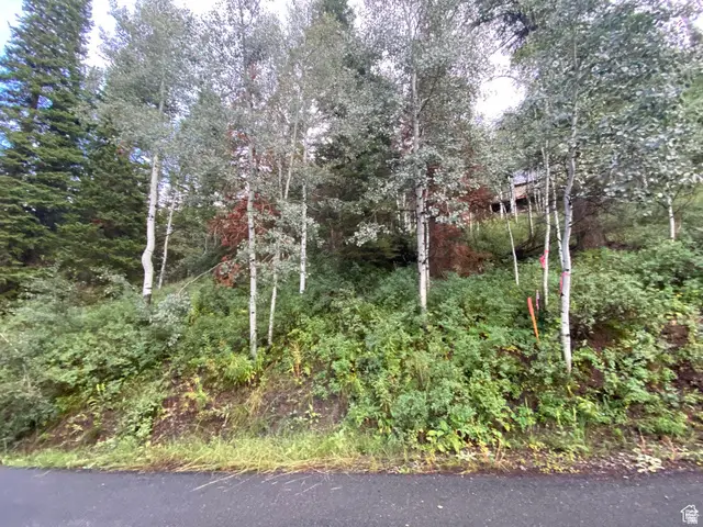 551 Red Fir Way #551, Oakley, UT 84055 - #3