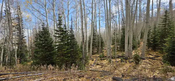 #19, Annabella, UT 84711