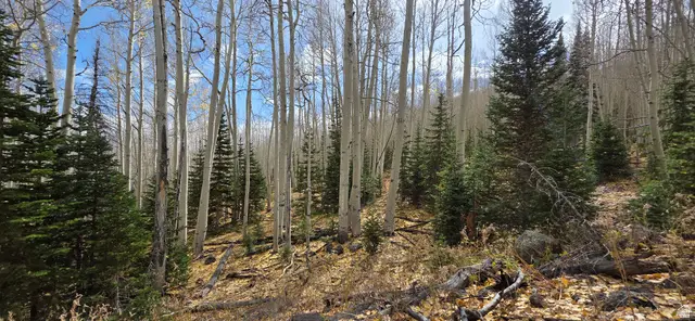 #28, Annabella, UT 84711 - #3