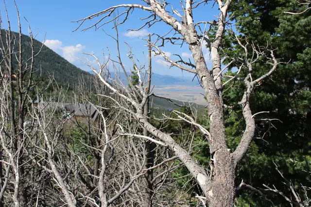 2289 S High Mountain Dr, Cedar City, UT 84721 - #3
