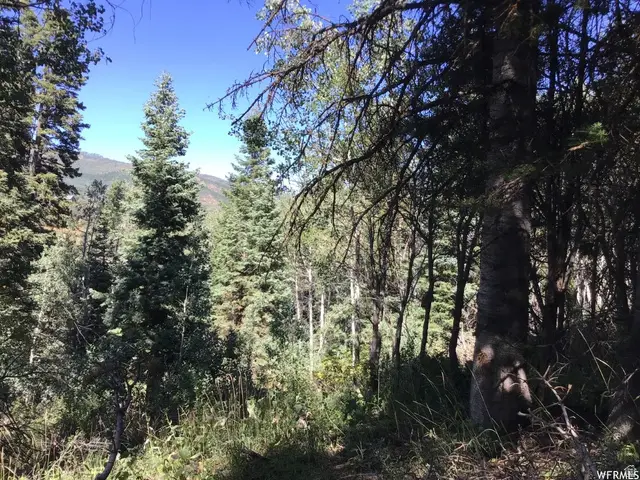 741 W Forgotten Ln N #96A, Coalville, UT 84017 - #1