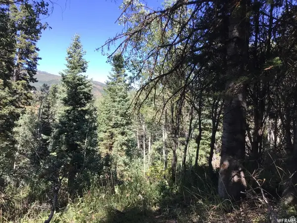 741 W Forgotten Ln N #96A, Coalville, UT 84017