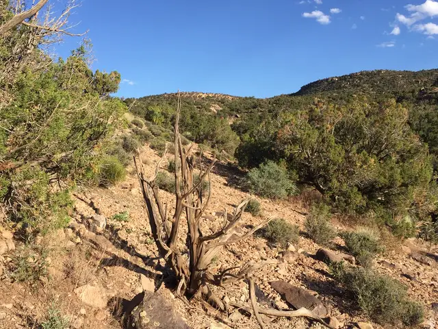 182 E Pole Canyon #5, Moab, UT 84532 - #3