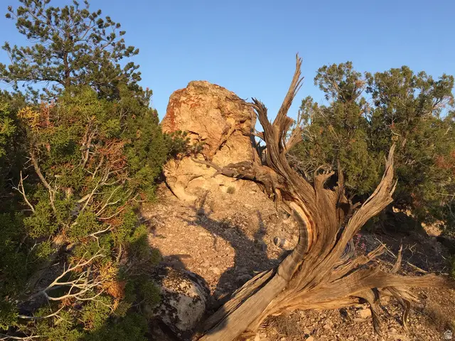 27 W Kane Canyon Dr #20, Moab, UT 84532 - #2