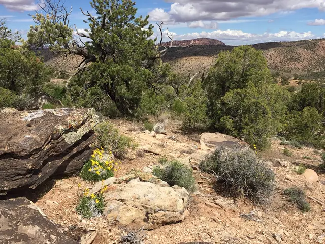 27 W Kane Canyon Dr #20, Moab, UT 84532 - #3