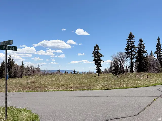 403 W Blue Spruce Dr, Virgin, UT 84779 - #2