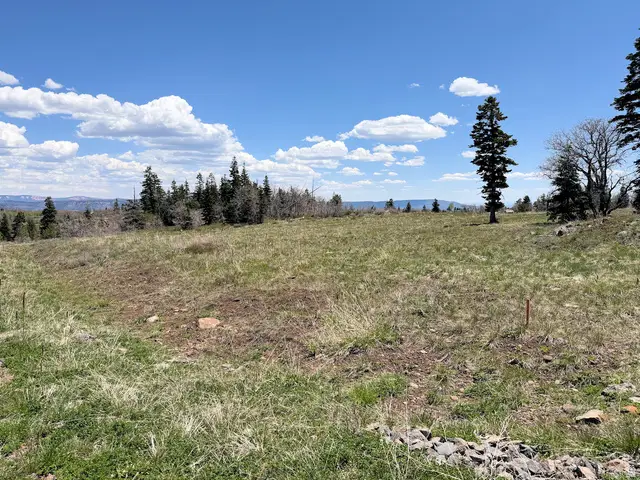 403 W Blue Spruce Dr, Virgin, UT 84779 - #3