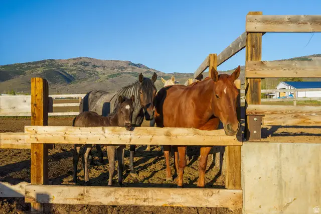 320 W 2100 N, Marion, UT 84036 - #3