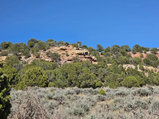 46360 W Airport Rd #246, Fruitland, UT 84027 - #1