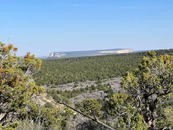 39 Upper Lick Rd #39, Kanab, UT 84741
