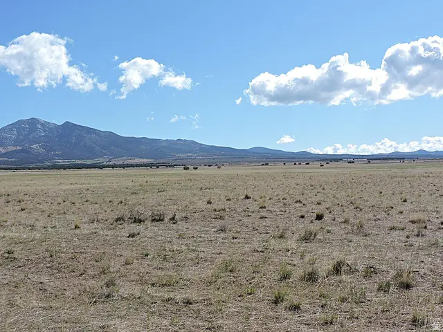 11800 N 1000 W, Holden, UT 84636 - #3