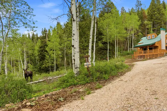 54 E Targhee Dr, Oakley, UT 84055 - #2