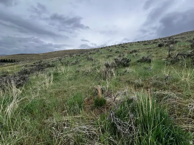 315 E 100 N #5, Wallsburg, UT 84082 - #1