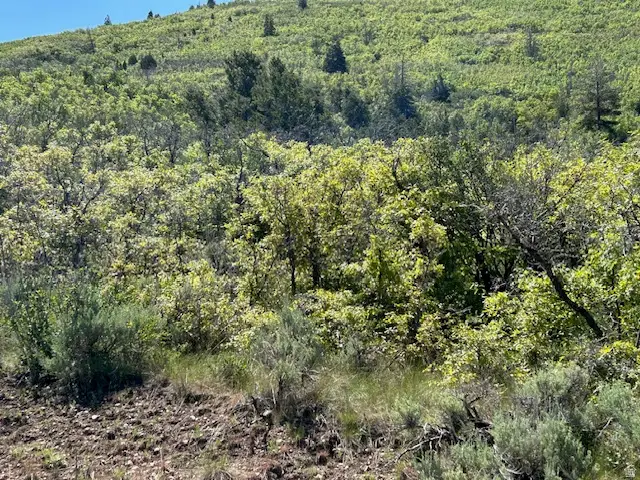 #E492, Indianola, UT 84629 - #3