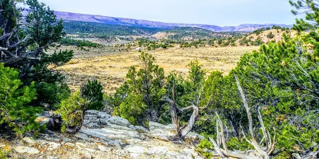 #32, Fruitland, UT 84027 - #1