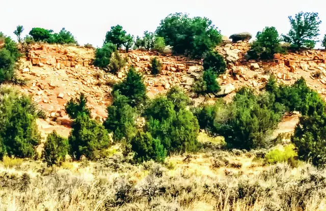 #32, Fruitland, UT 84027 - #2