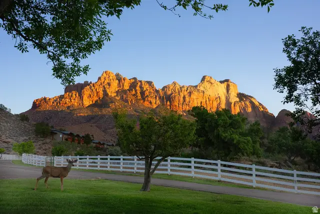 2428 Zion Park Blvd, Springdale, UT 84767 - #1