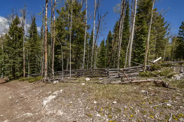 #31, Panguitch, UT 84759 - #3