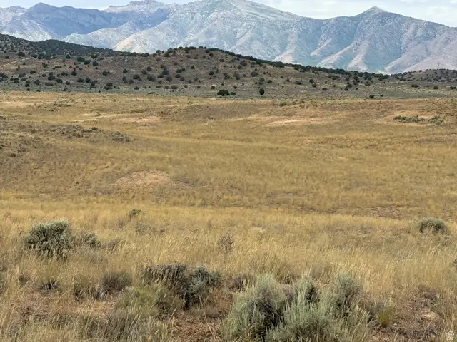 #23, Levan, UT 84639 - #2