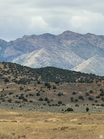 #15, Levan, UT 84639 - #3