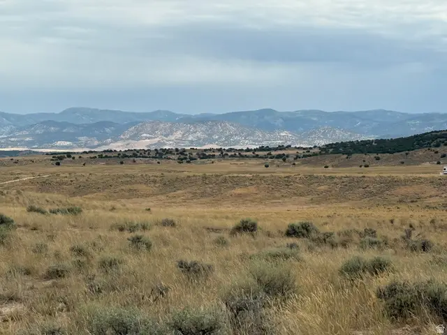 #20, Levan, UT 84639 - #1