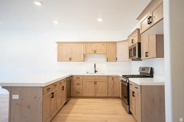 478 E 650 N #73, Salem, UT 84653 - #3