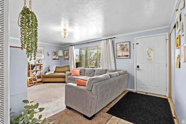 761 S 200 W, Mount Pleasant, UT 84647 - #3
