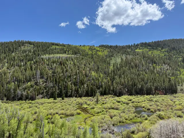 Address Withheld By Seller, Woodland, UT 84036 - #1