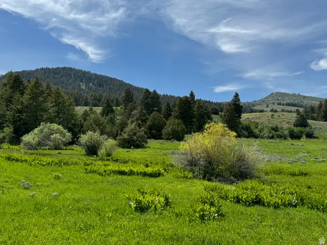 1200 S Lands Creek Rd E, Albion, ID 83311 - #2