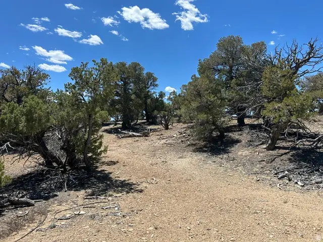 Address Withheld By Seller, Fruitland, UT 84027 - #1
