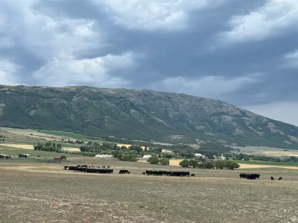 #13, Clifton, ID 83228