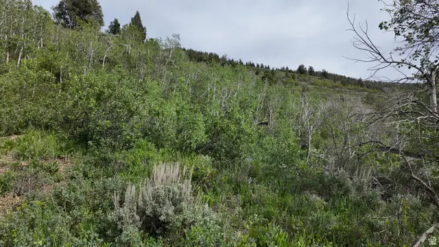 4060 Wildlife Way #443, Kamas, UT 84036 - #2