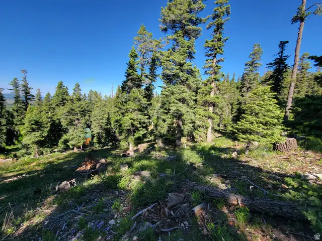 6220 W Brook Ln, Duck Creek Village, UT 84762 - #3