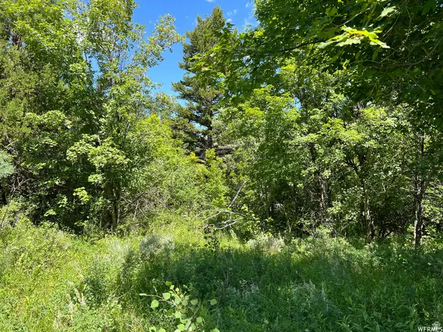 1320 N Sculpin Loop #T96, Garden City, UT 84028 - #3