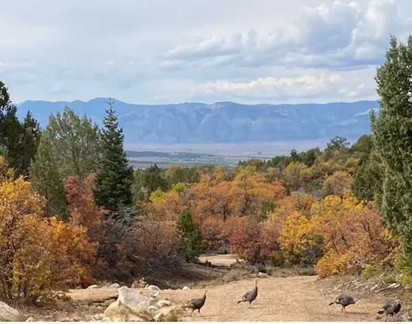 Address Withheld By Seller, Mt Pleasant, UT 84647