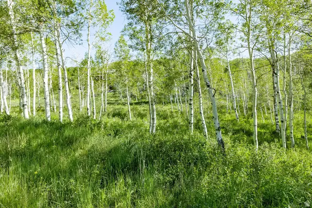 796 W Shady Ln, Wanship, UT 84017 - #3