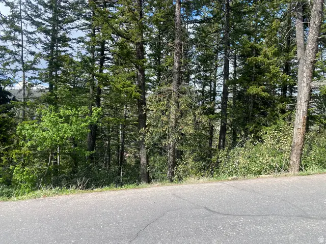 446 Upper Evergreen Dr #60, Summit Park, UT 84098 - #2